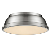  3602-14 PW-PW - Duncan 14" Flush Mount in Pewter with a Pewter Shade